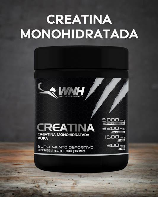 Creatina Monohidratada con Beta-Alanina, BCAA y HMB | 300 g (30 servicios) – Sin Sabor | WNH