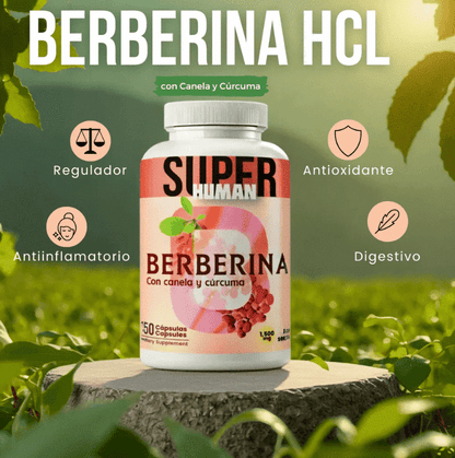 Berberina HCL - SuperHuman™